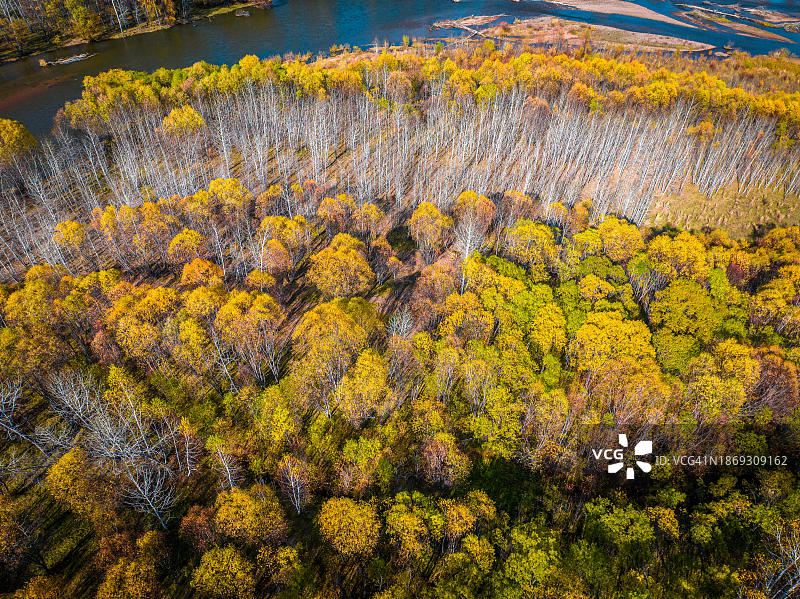 蒙古国色楞格省秋季的 Zelter 河图片素材