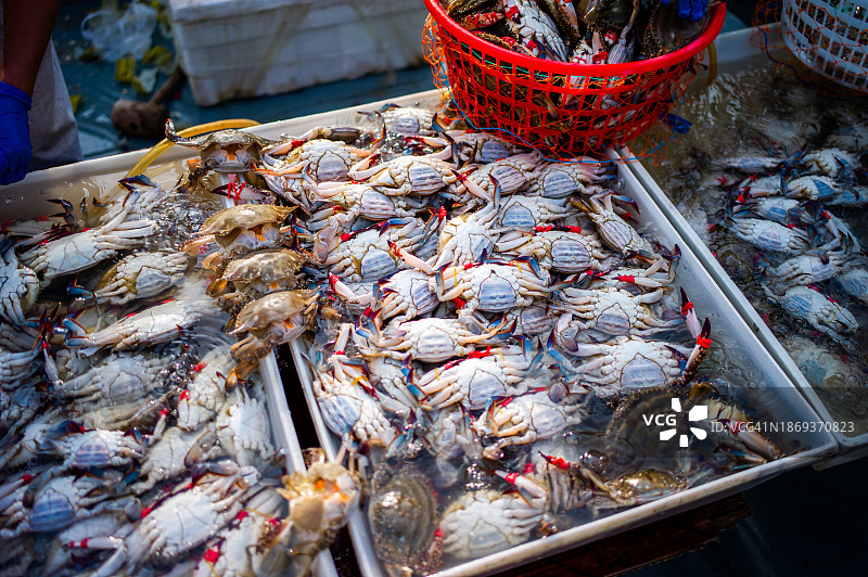 海鲜市场出售的螃蟹图片素材