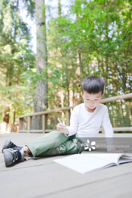 树林里的小男孩日记图片素材