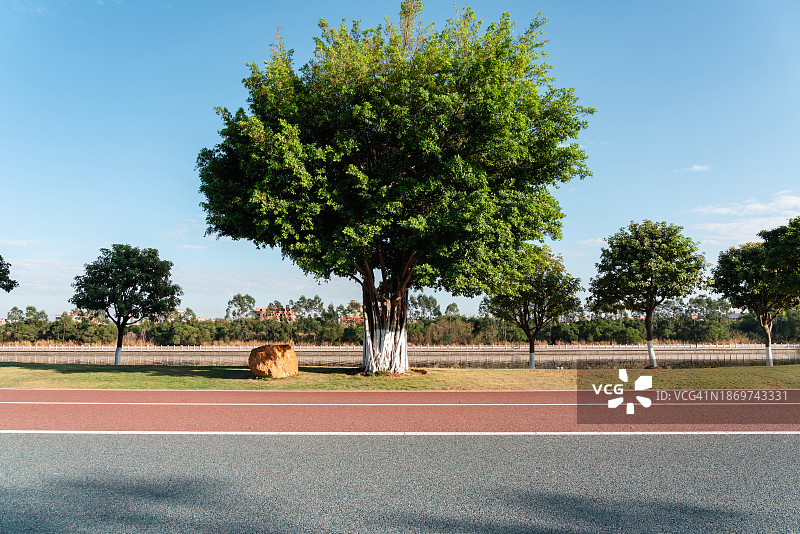 城市公园小路图片素材