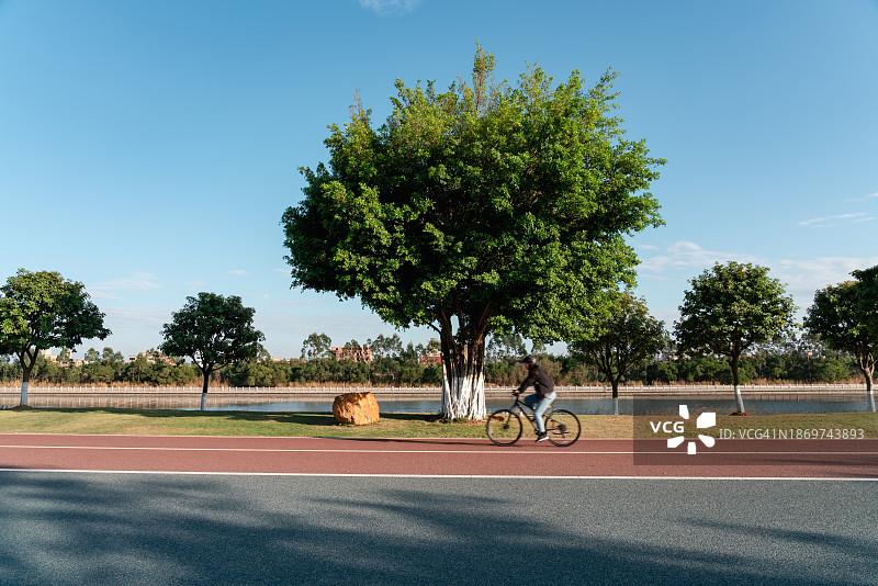 公园自行车道上人们骑自行车的模糊动感图片素材