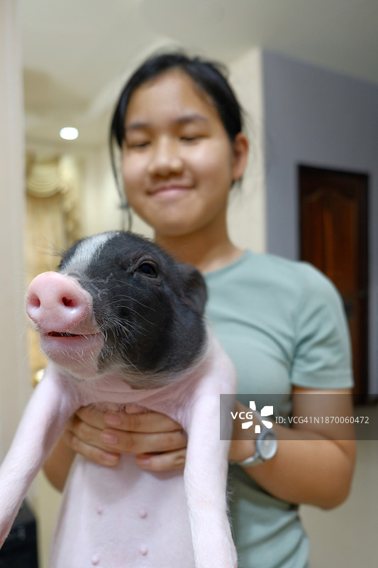 女孩抱着小猪的有趣照片图片素材