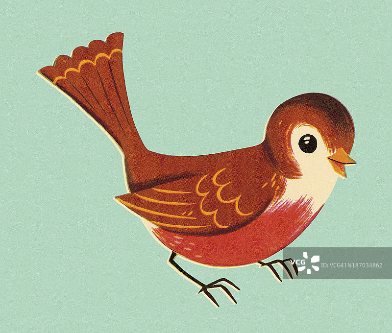 知更鸟图片素材