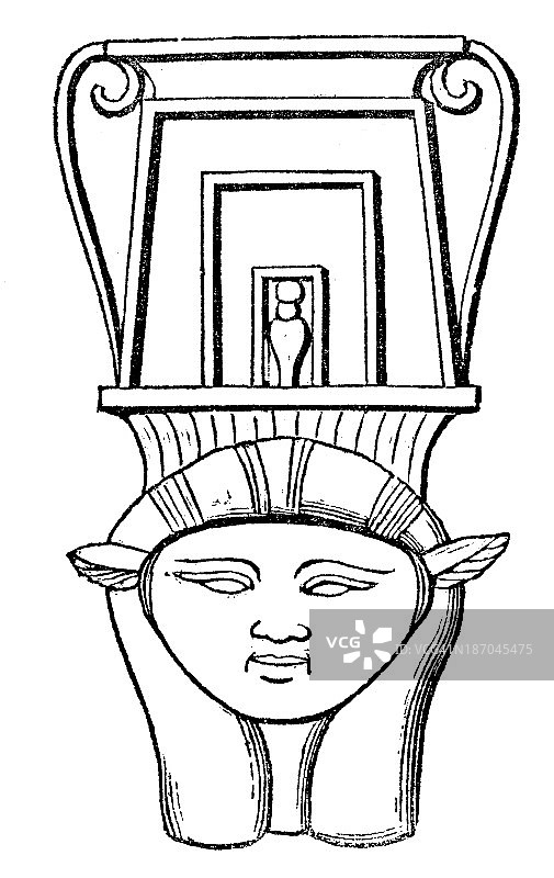 哈索尔古董插画图片素材