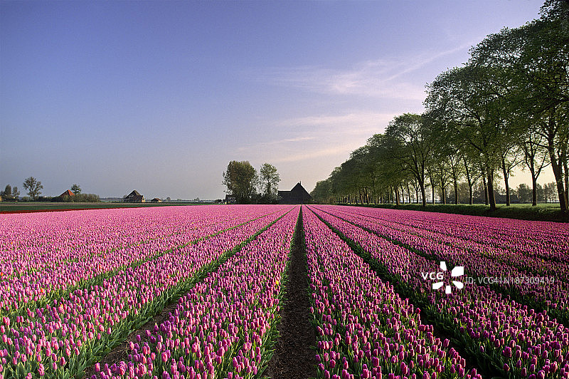 春天的风景图片素材