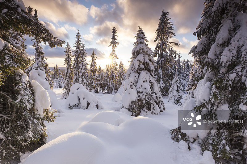 利勒哈默尔附近的挪威木材日落景色图片素材