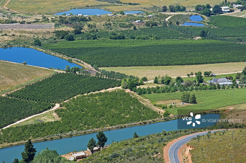 开普省的果酒农田图片素材