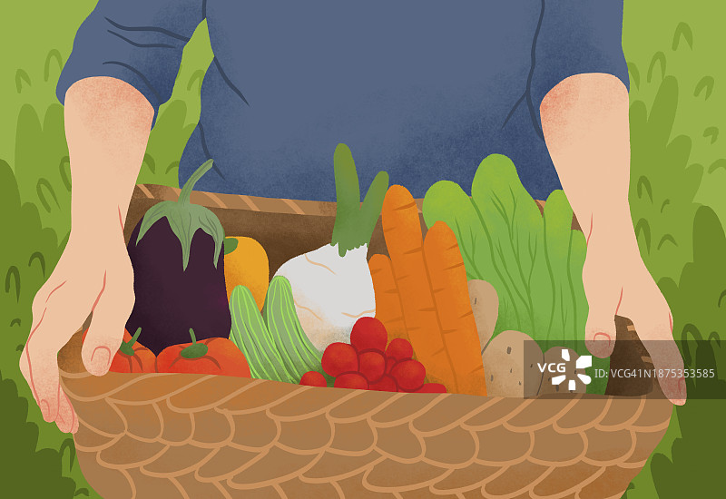 特写：女子在花园里采摘各种新鲜有机蔬菜图片素材