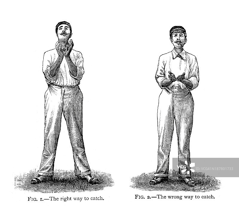 板球 - 外场员图片素材