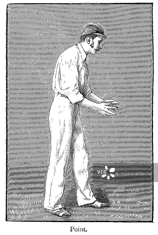 板球 - 外场员图片素材