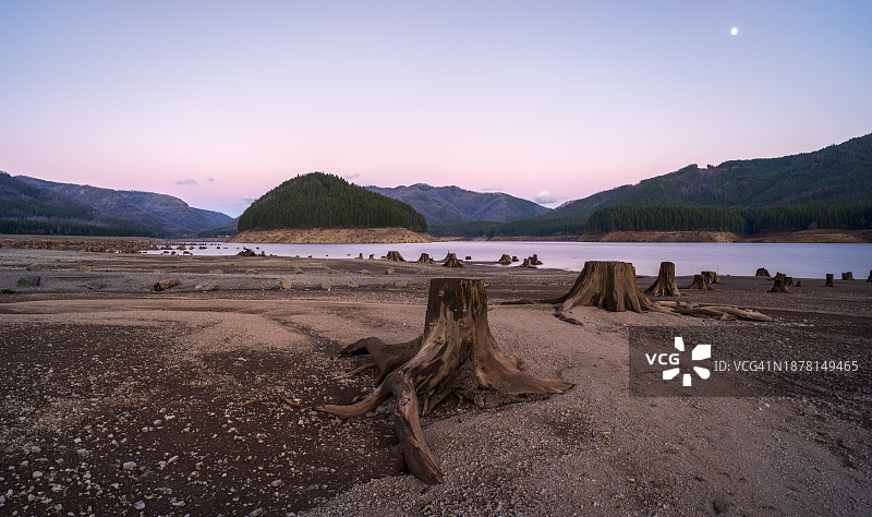 底特律湖（俄勒冈州）黄昏时的树桩与月出图片素材