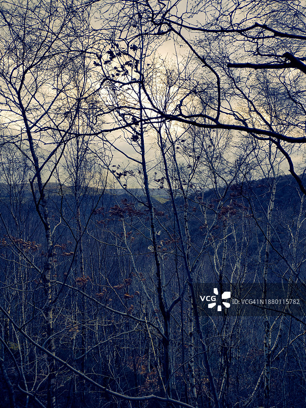 阴天山谷森林全景图片素材