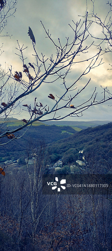 阴天山谷森林全景图片素材