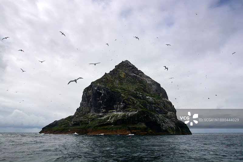 海洋中的鲣鸟栖息地图片素材