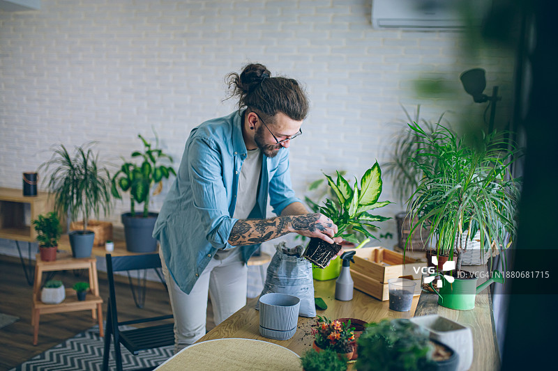 在自家花园里种植新盆栽的男人图片素材