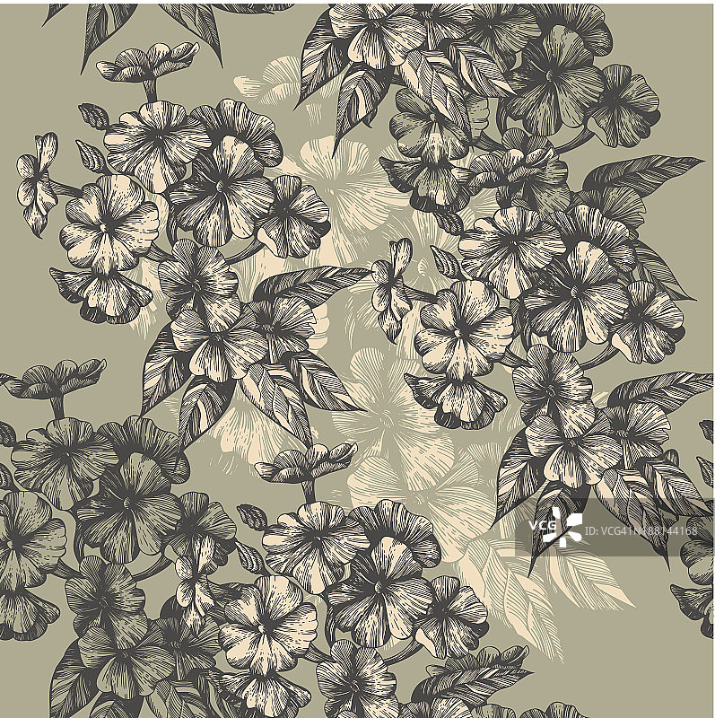 盛开的福禄考花卉手绘无缝图案图片素材