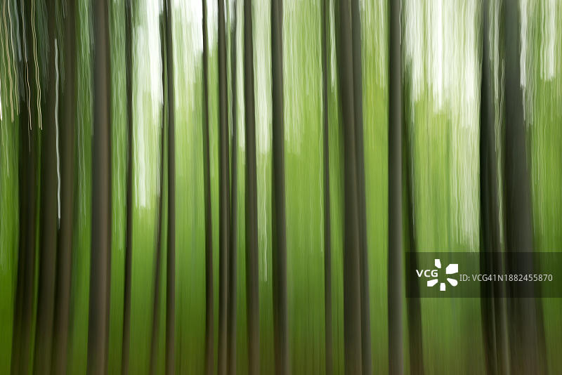 德国下萨克森州春季森林抽象动态模糊影像图片素材