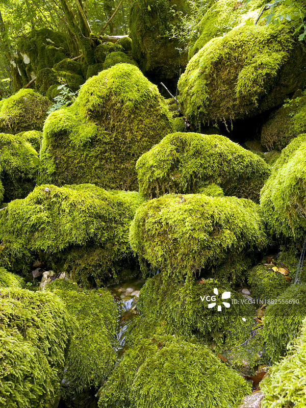 长满苔藓的石头，索卡山谷，特里格拉夫国家公园，博韦茨，斯洛文尼亚，欧洲图片素材