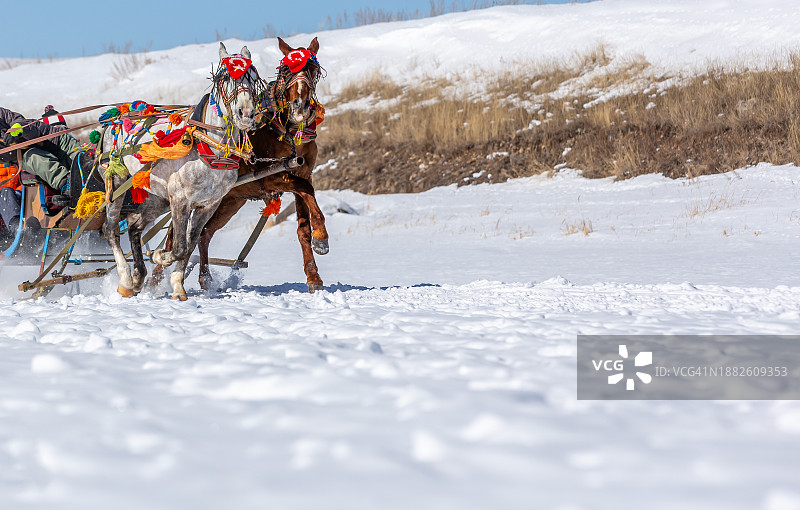 在奇尔迪尔湖上与马匹同行的雪橇，土耳其阿尔达汉-卡尔斯图片素材