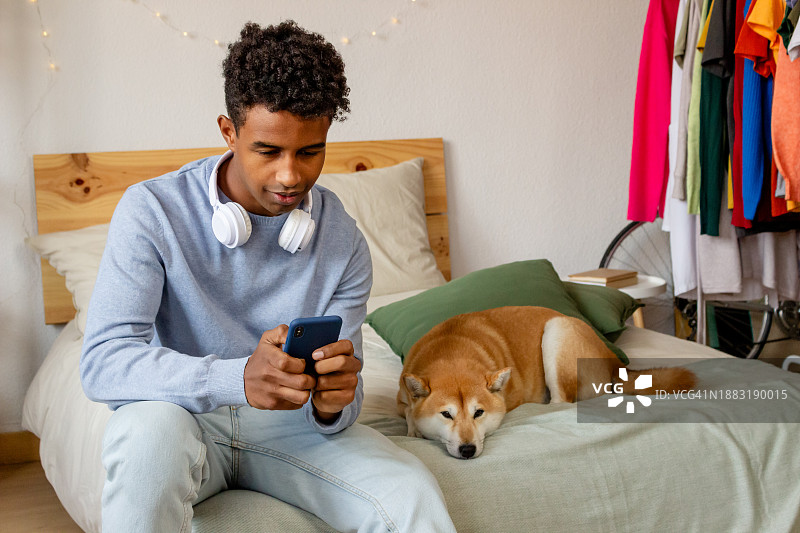 年轻的非洲裔美国男子坐在床上使用智能手机，旁边有一只柴犬图片素材