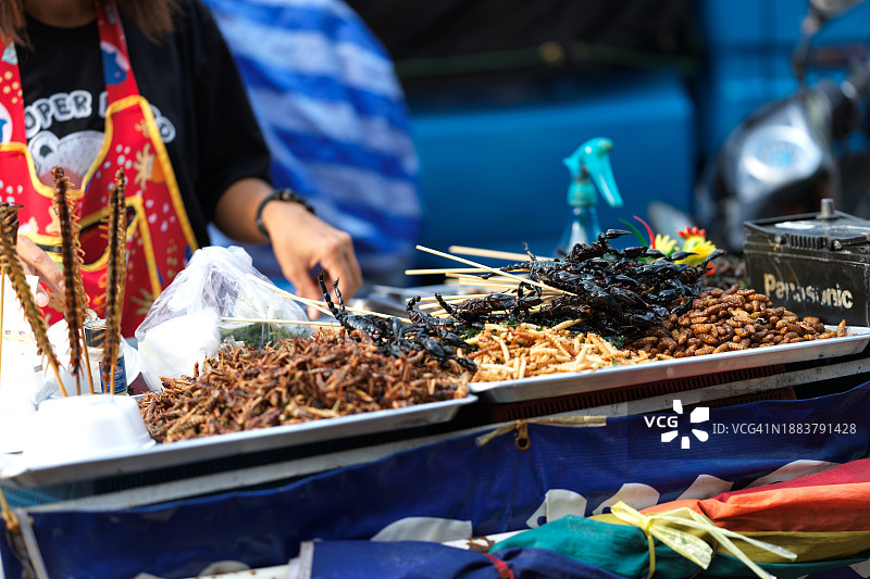 炸蛆虫和蝎子串图片素材