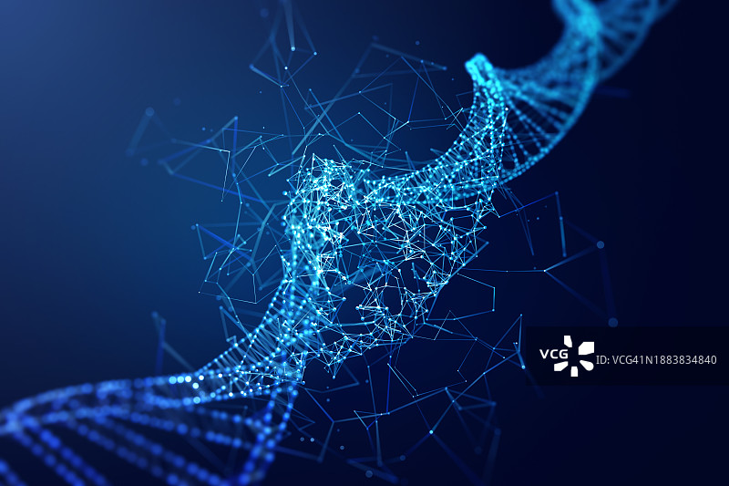 通过网络重建DNA分子结构图片素材