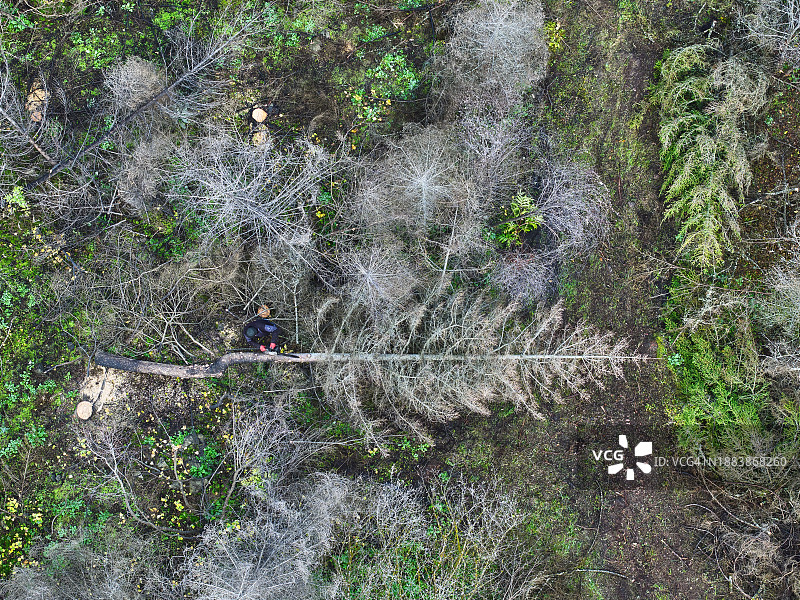 格鲁吉亚博尔若米-哈拉加乌利国家公园图片素材