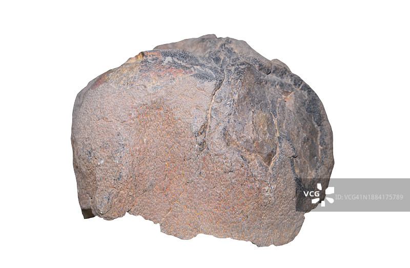 无标题的艺术品图片素材