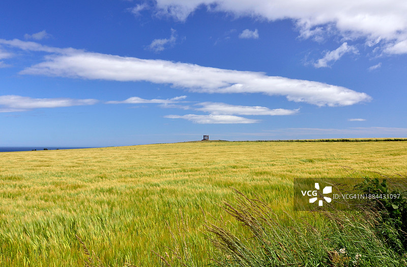 金色麦田和纪念碑图片素材