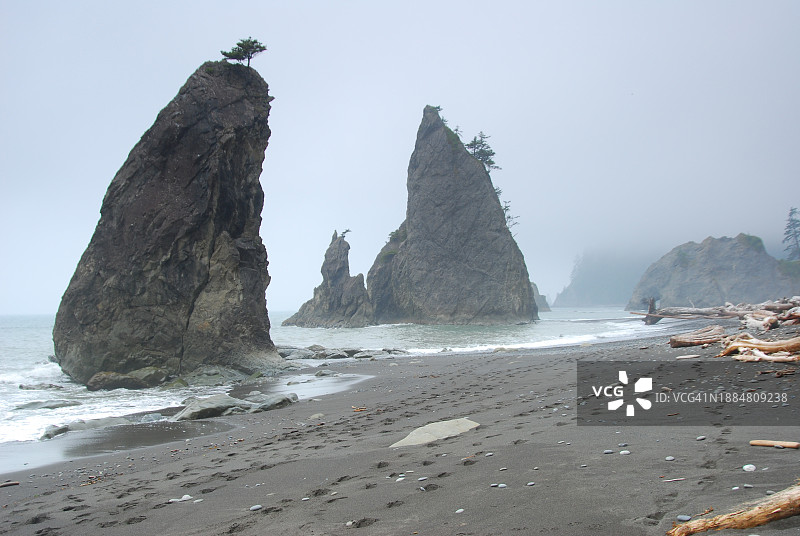 奥林匹克国家公园里亚托海滩北部的海蚀柱图片素材