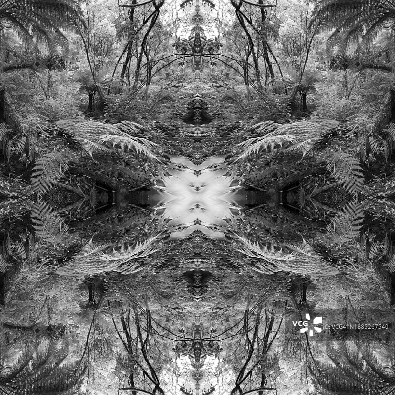 蕨类叶子的万花筒曼陀罗图片素材