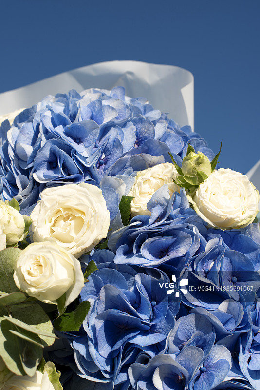 绣球花和玫瑰枝花束图片素材