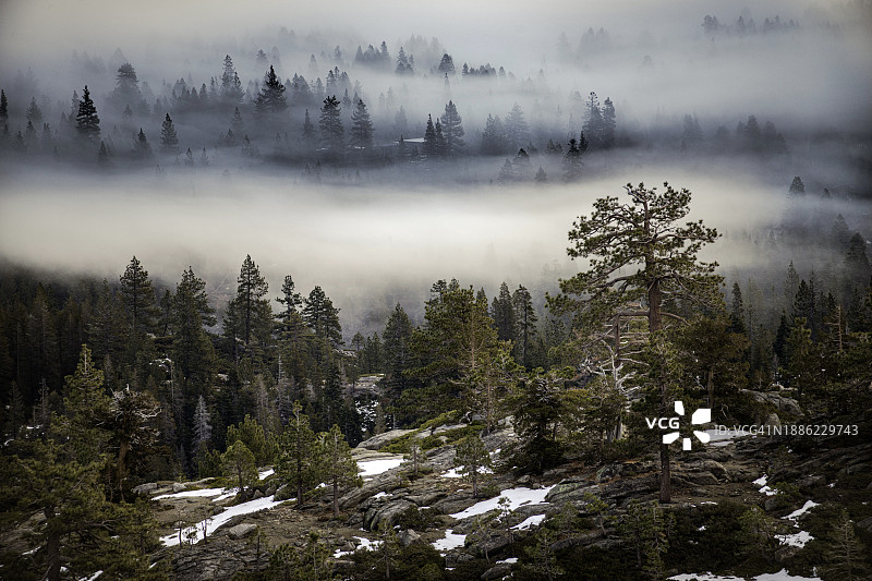 多纳湖的清晨薄雾图片素材
