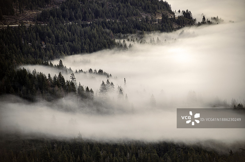 多纳湖的清晨薄雾图片素材