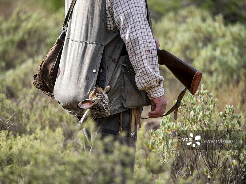 猎人带着猎枪在田野里寻找兔子图片素材