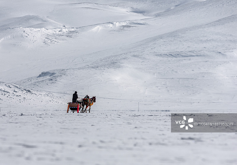 在奇尔迪尔湖上与马匹同行的雪橇，土耳其阿尔达汉-卡尔斯图片素材