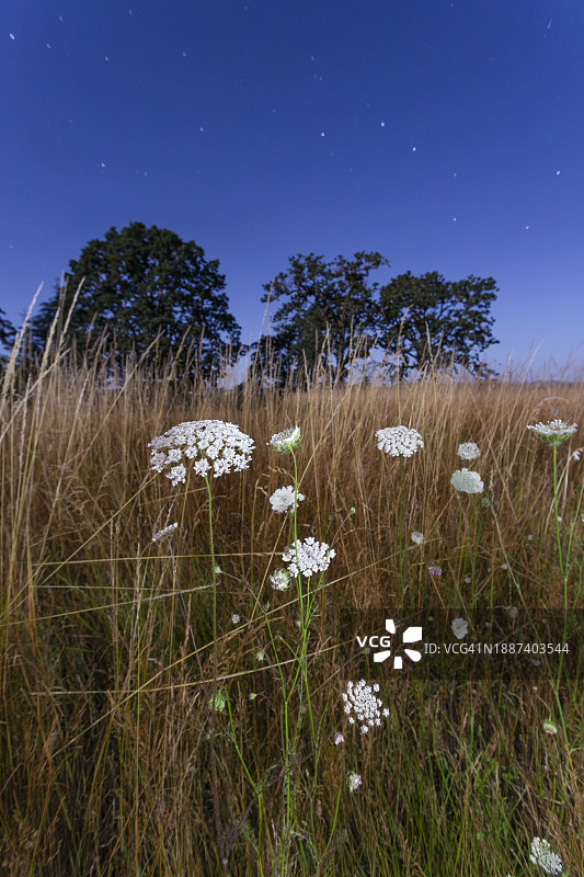 带有北斗七星的长曝光照片图片素材