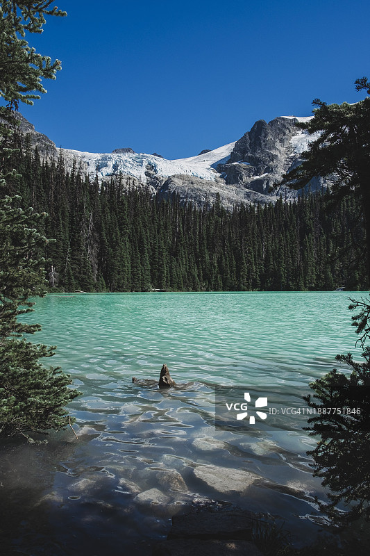 加拿大乔弗雷湖省立公园的湖泊美景图片素材