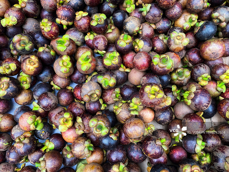 山竹背景图片素材