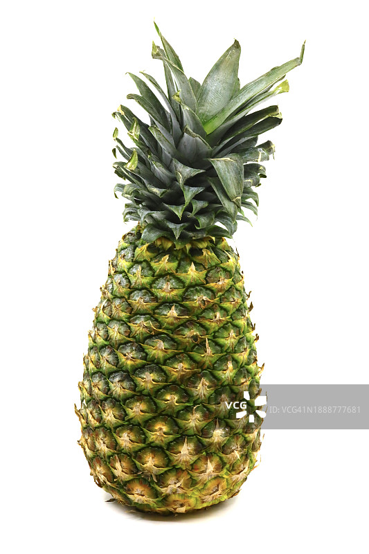 热带水果菠萝（Ananas comosus）图片素材