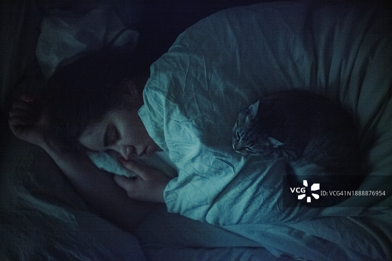 夜晚，年轻女人和猫一起在床上睡觉图片素材