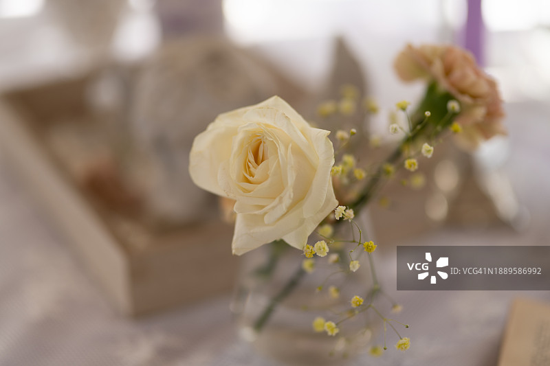 房间桌子上的玫瑰和康乃馨图片素材