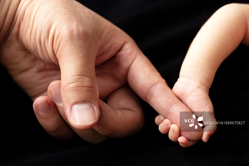 女婴的小手握着父亲的手指图片素材