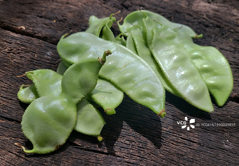 豆子。图片素材