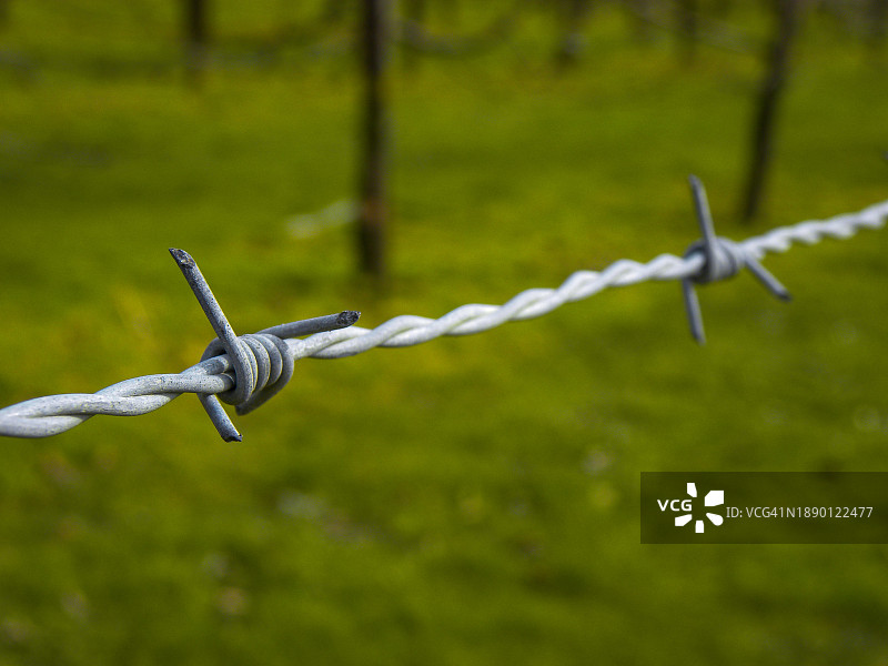 带刺铁丝网围栏特写图片素材