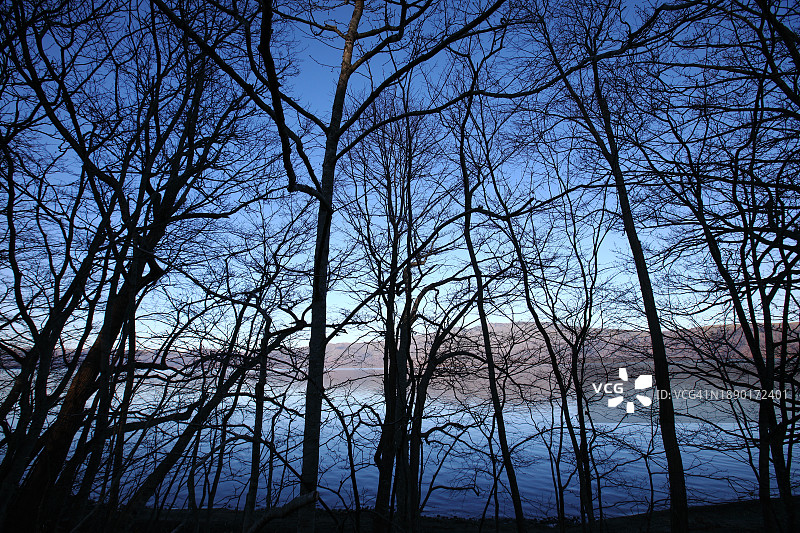 湖边树木剪影与蓝色天空背景图片素材