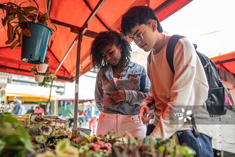 朋友们在街头市场挑选多肉植物图片素材