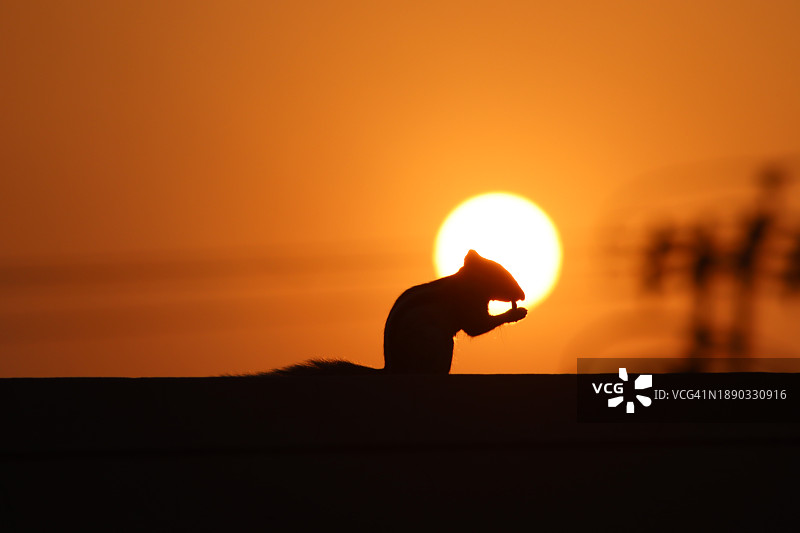 橙色天空下的人的轮廓剪影图片素材