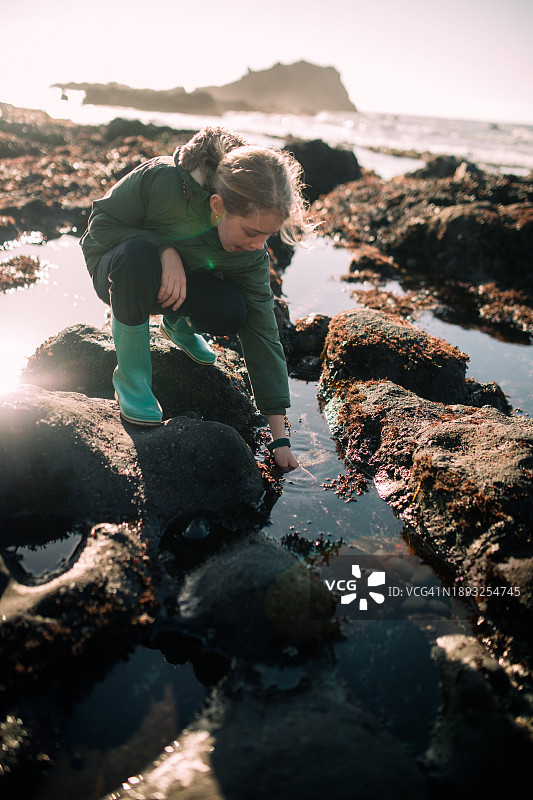 在俄勒冈州海岸探索潮汐池的儿童图片素材