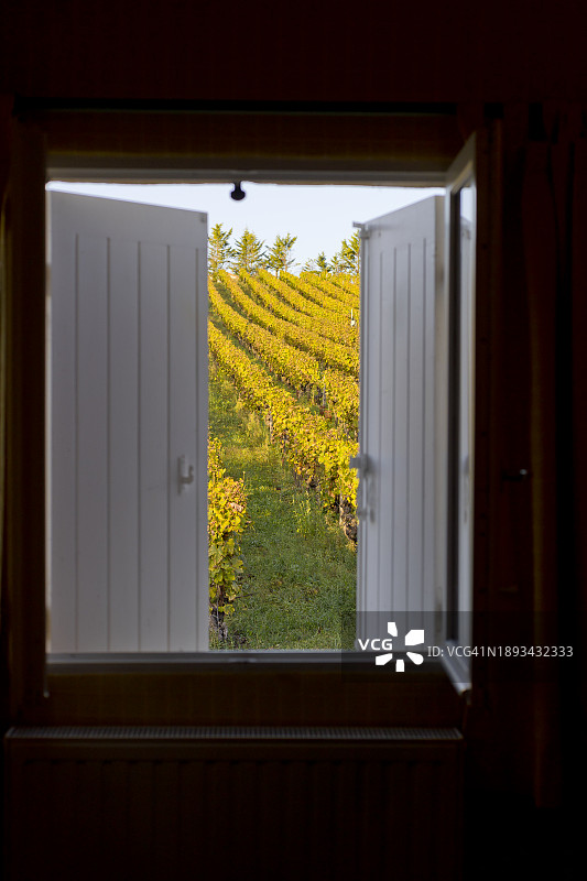 欧洲秋季农业葡萄图片素材